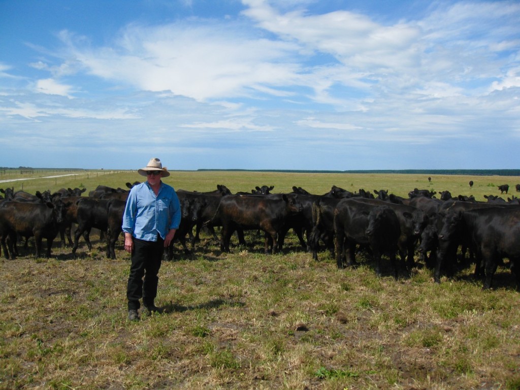 2016 Steve Brain with sale heifers