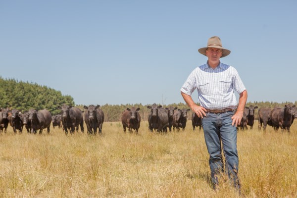 Colin Henke, Lakala, Mumbannar. Photo taken by Kate Pearce, The Land Newspaper