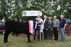 Te Mania Berkley Progeny Reserve Champions at Irish Angus Show