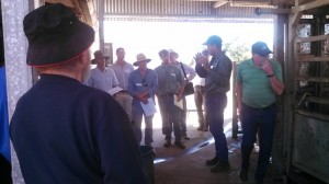 Tom Gubbins discusses the Te Mania Angus Breeding Program