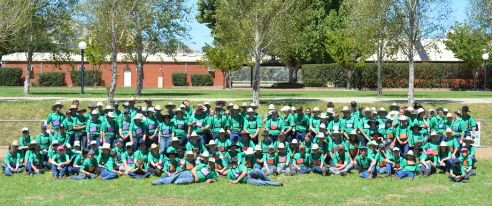 2015 Angus Youth Development Round Up attracts 150 participants