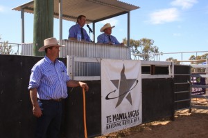 2014 Walgett Selling Ring