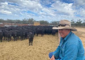 Henwood And Steers