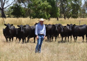 Michael Carroll, Widgeegonga, Derrinallum