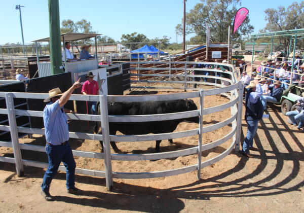 Walgett