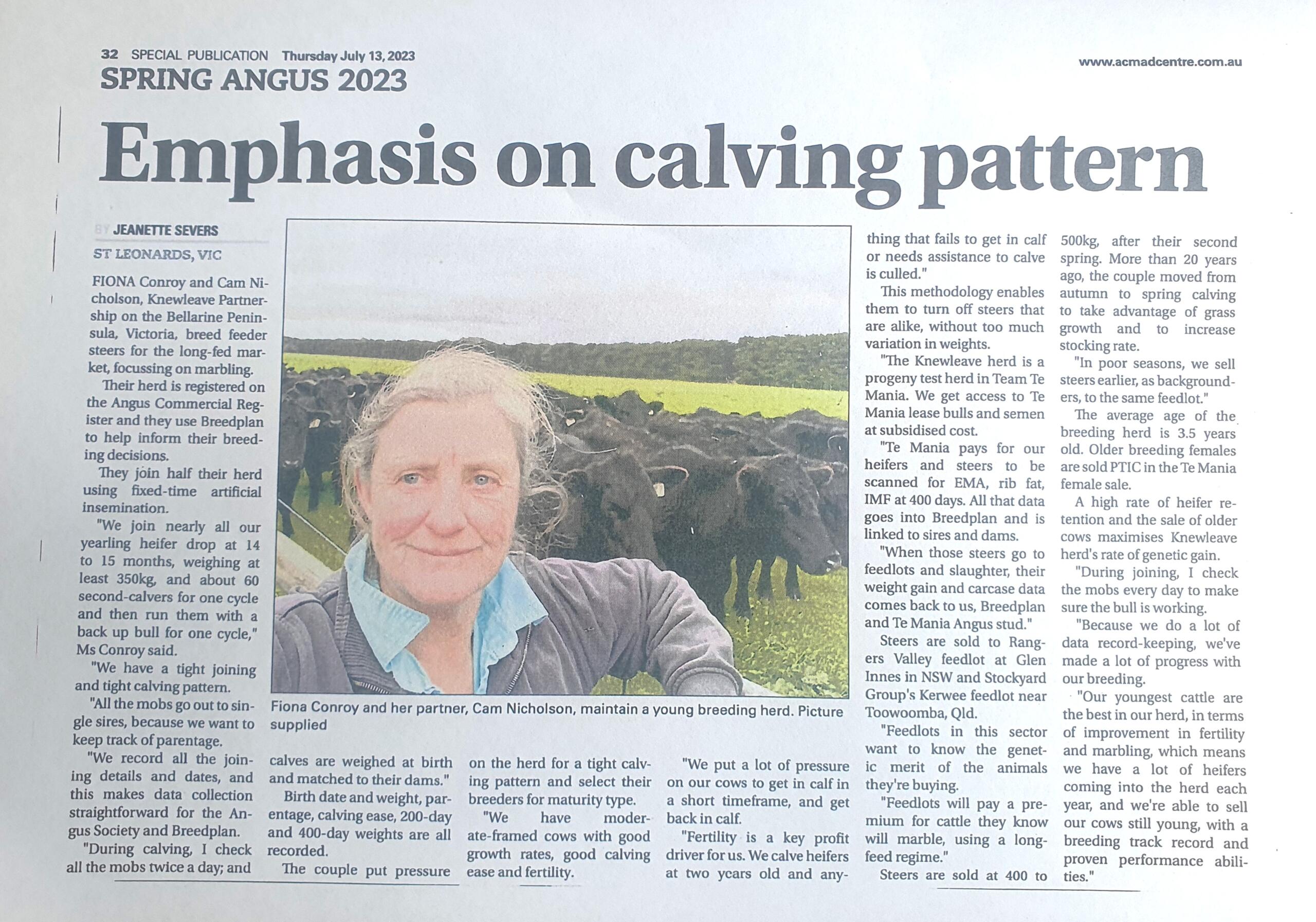 Spring Angus Feature F.conroy Article