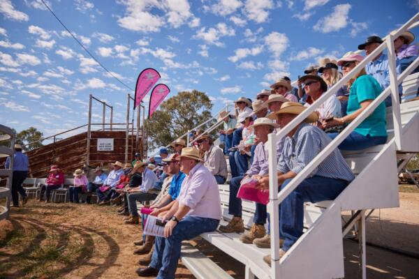 Walgett 23 173