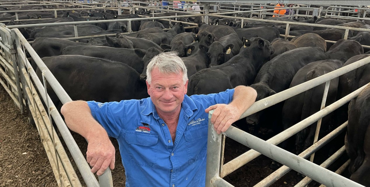 Trevor Sargeant Villa Brae Pastoral Angus Cattle