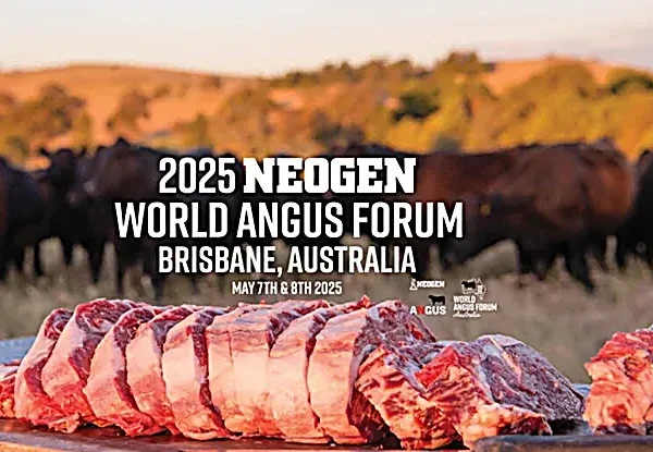 2025-neogen-world-angus-forum-sharpened