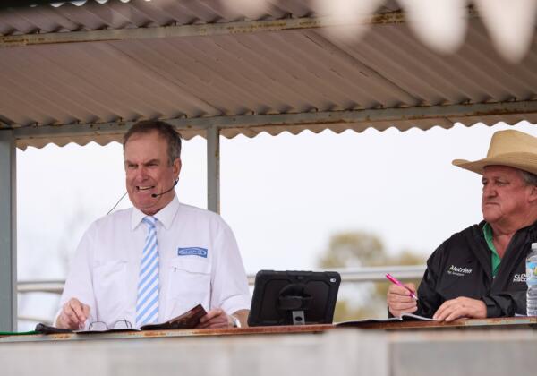 Auctioneer, Paul Dooley And Chris Clemson, Nutrien