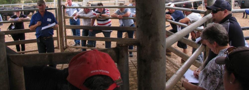 Jim-green-header-1024x516