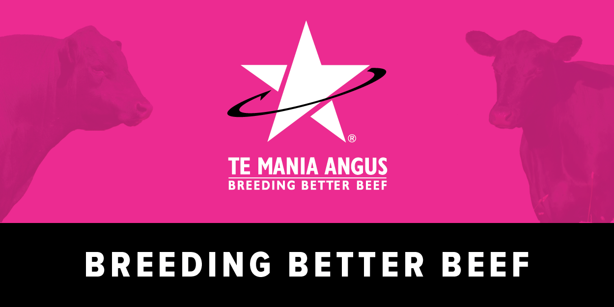 2087 Tm Edm Header V1