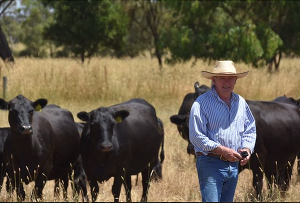 Mike Carroll Lessons From The Drought Page 11