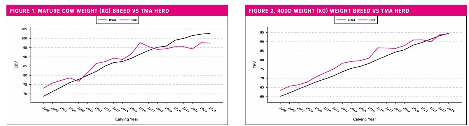 Screenshot 21-1-2026 205816 