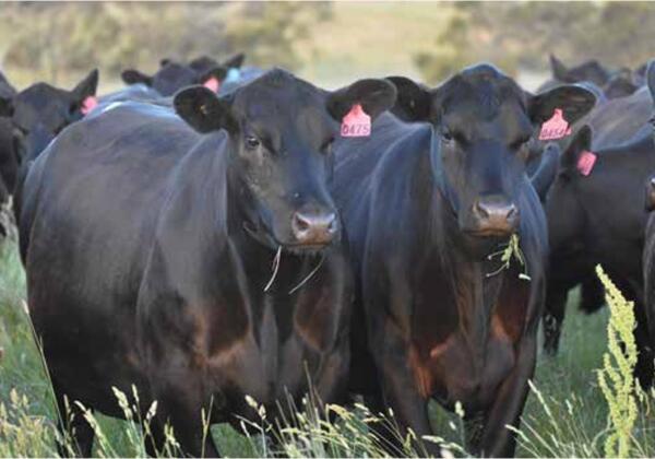 Screenshot 21-1-2026 21028 