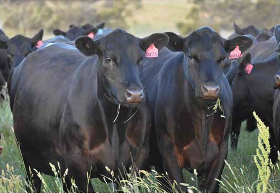 Screenshot 21-1-2026 21028 