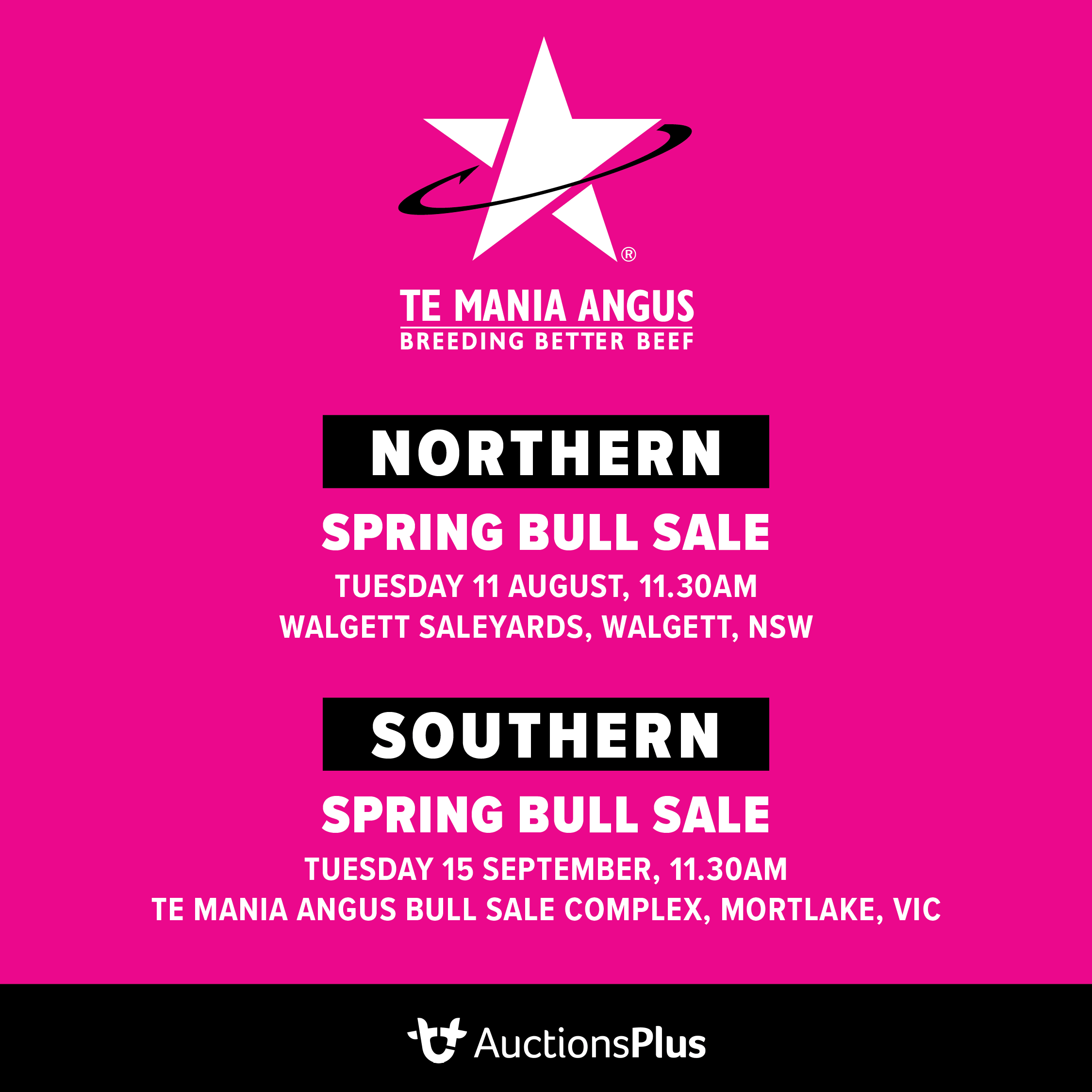 2130 Tm Spring Bull Sale Tile 1080x1080-1